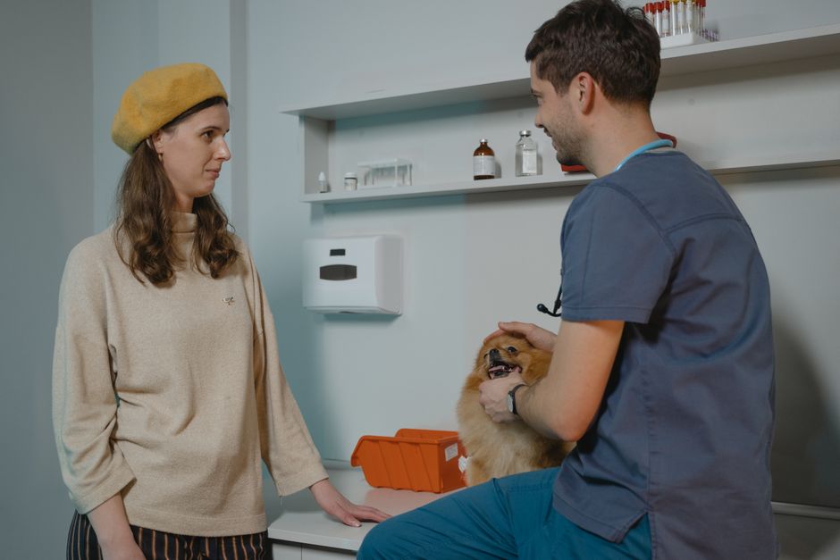 How to Find an Exotic Vet Near You: What to Look For and Ask - TinyPaws & Co.