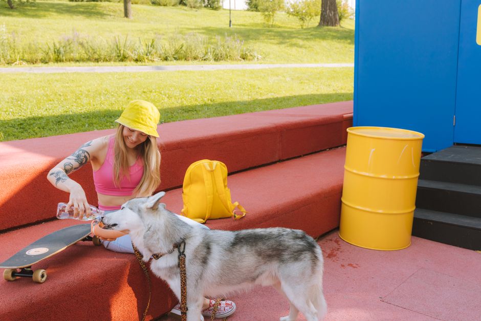 TinyPaws & Co. pet care guide