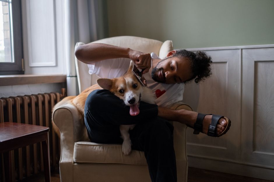 TinyPaws & Co. pet care guide
