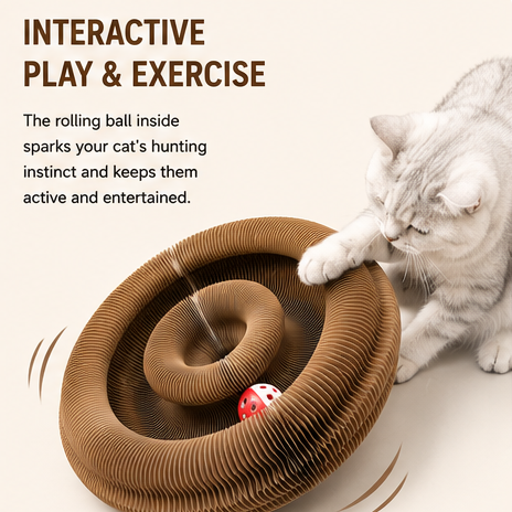 Cat Fun Bundle - Scratcher & Fishing Toy