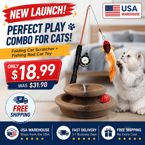 Cat bundle with accordion scratcher and fishing wand toy